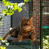 Duurzame kattenplanken voor buiten