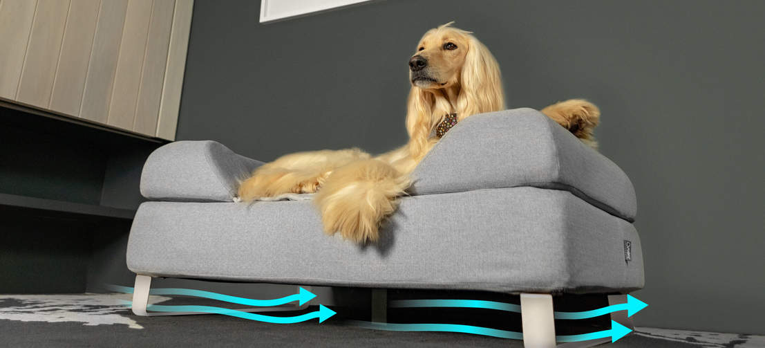 wetenschappelijk Knop cement Topology |Luxe hondenmand met toppers | Door Omlet | Omlet