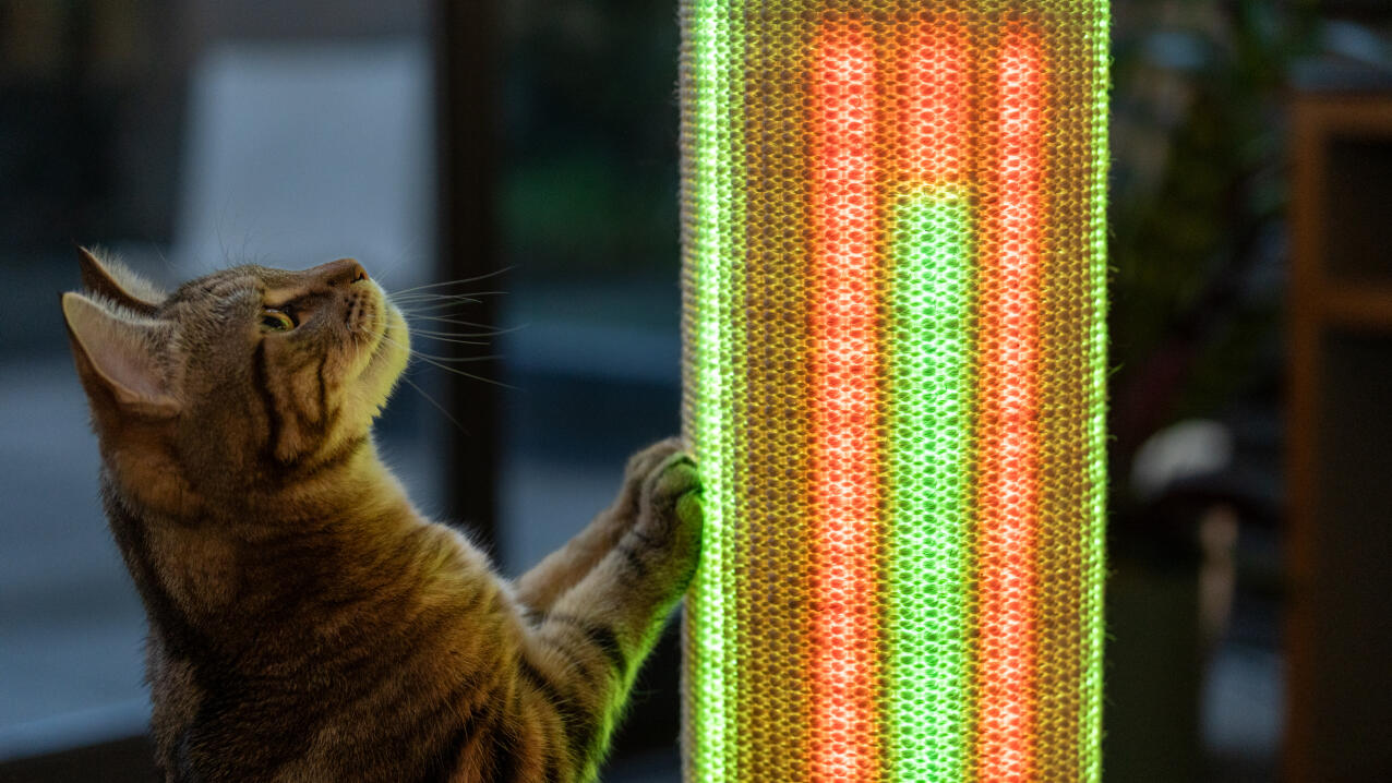 Kat bezig met de lichtmodus op een Switch kattenkrabber