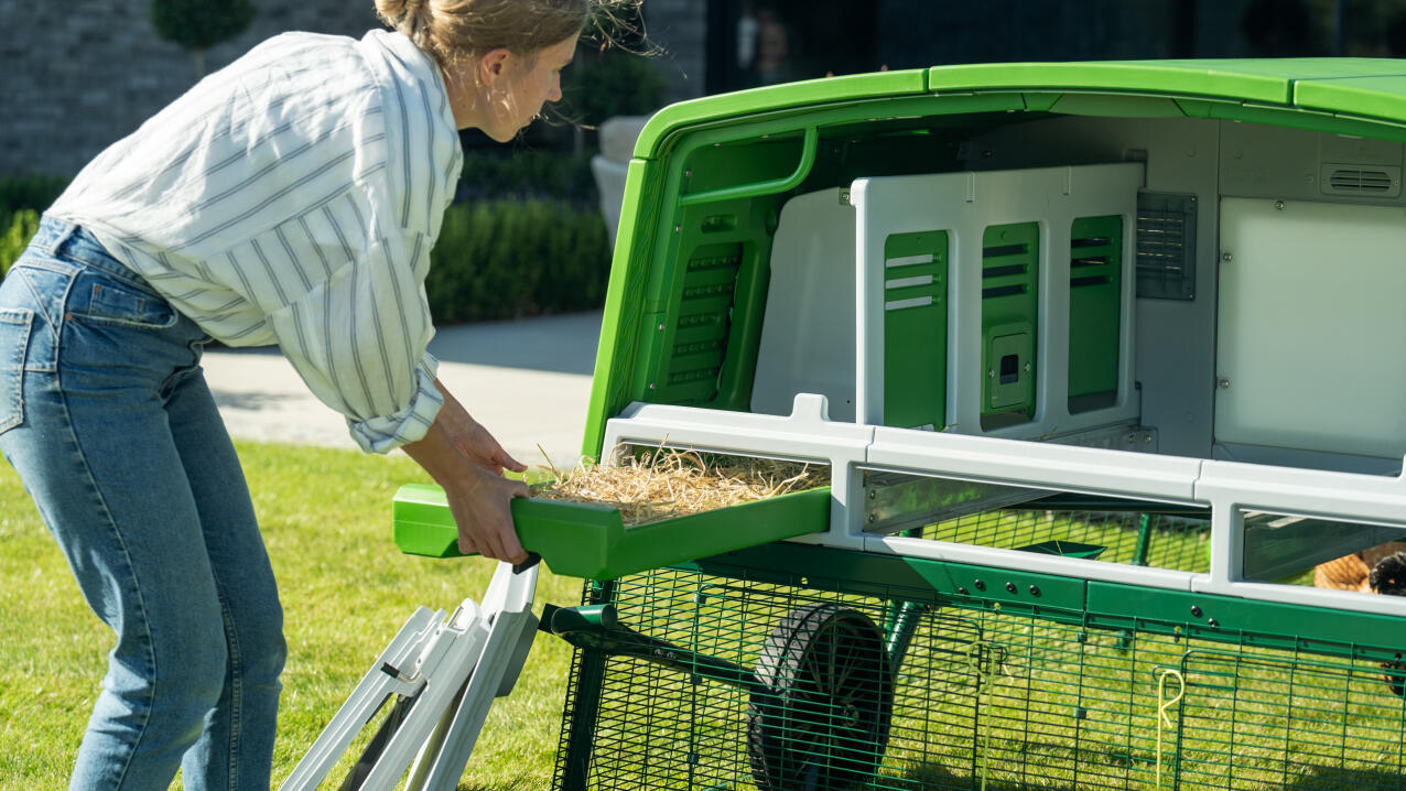 Vrouw schuift de nestbox van het kippenhok gemakkelijk uit om schoon te maken.