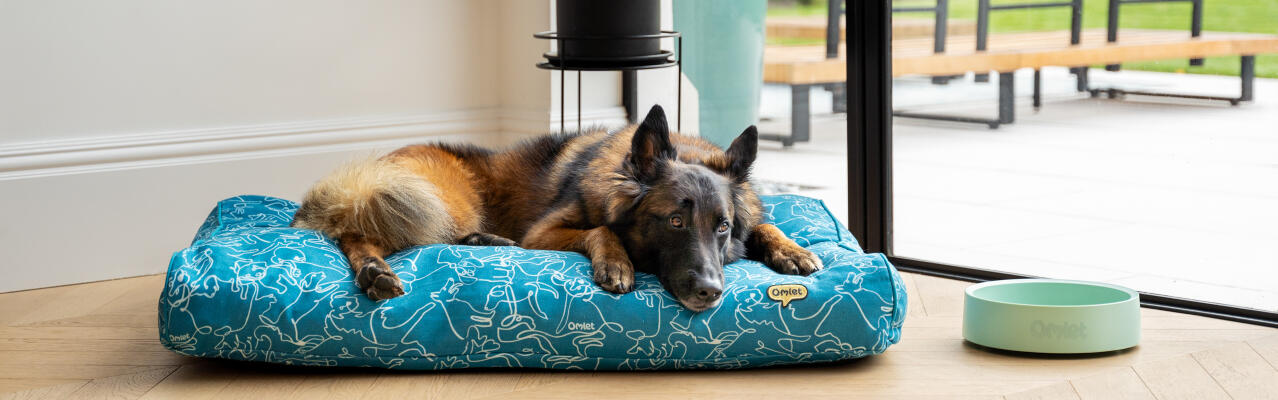 Duitse sheppard rustend in een groot kussen hondenbed