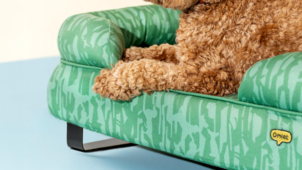 Ondersteunend bolster hondenbed in levendig designpatroon