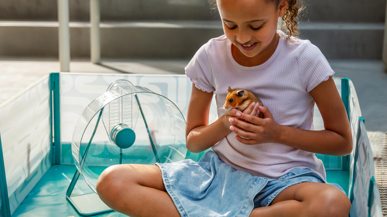 Klein meisje zittend binnen de Omlet hamster box met haar hamster en accessoires