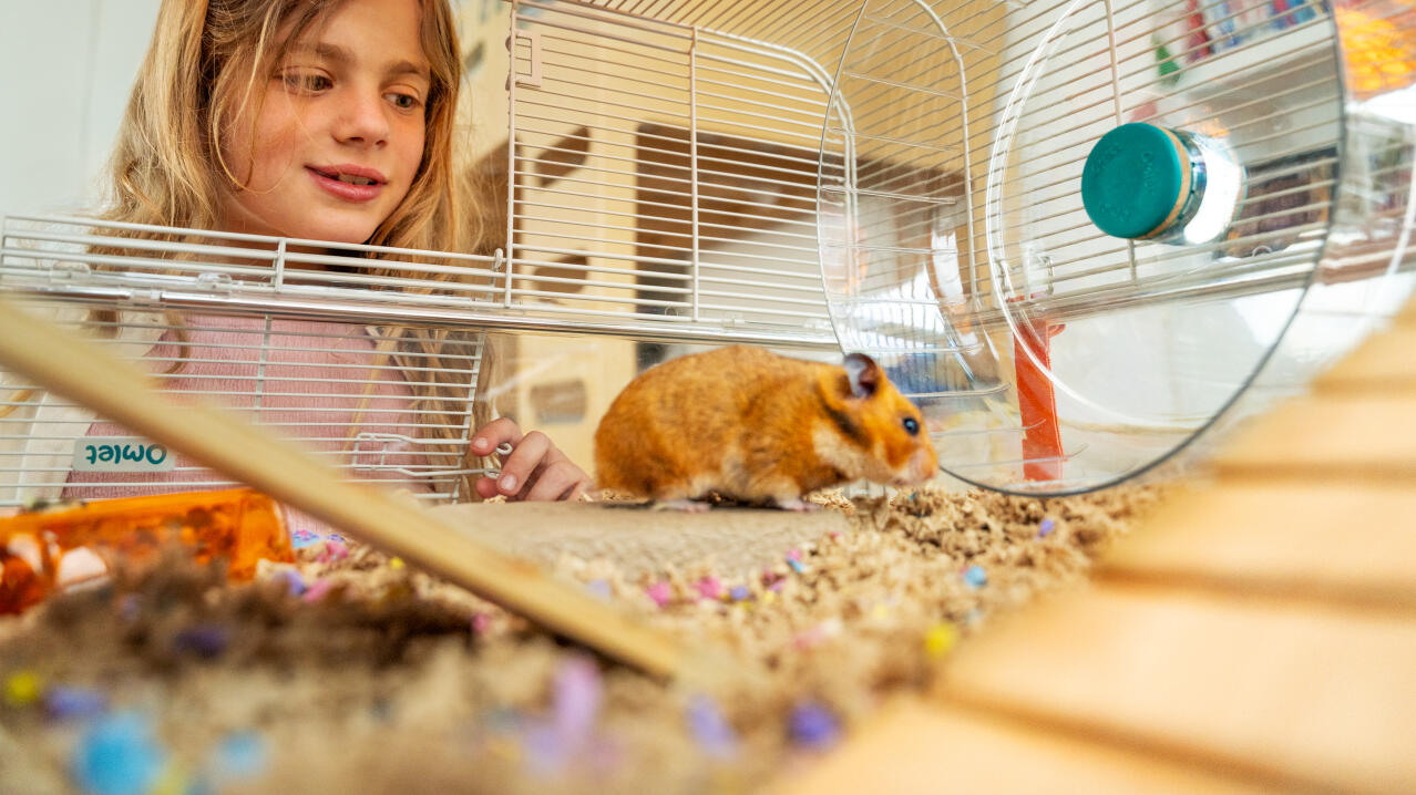 Klein meisje kijkt naar haar hamster in de grote Omlet hamsterkooi