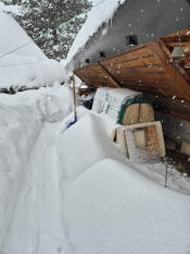 Kippenhok in de sneeuw