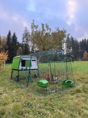 Eglu Cube in de tuin