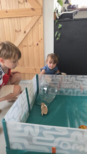 Kinderen die met hun hamster spelen in de Omlet hamsterbox.