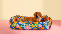 Hond rustend in een kleurrijk patterend bolster hondenbed van Omlet