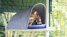 Een kat rust uit in het platformhol dat is bevestigd aan de buitenkattenboom Freestyle 