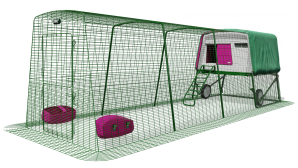 Eglu Cube kippenhok met ren (4 m) en wielen - Paars