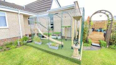 Catio voor twee mainecoons 