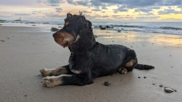 Het leven is een strand!