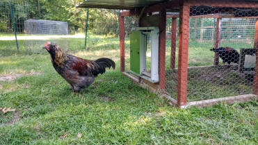 Zwartbaard zegt dat het gras altijd groener is als je Go kunt gebruiken via een Omlet slimme deur! 