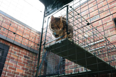 De tunnels zijn eenvoudig aan uw catio te bevestigen!