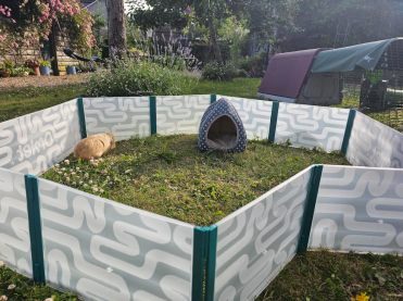 Een geweldige aanvulling op de tuin voor mijn cavia om in te spelen!