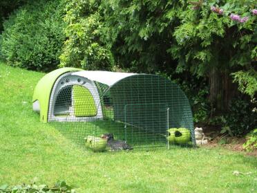 Green Eglu Classic kippenhok met ren in tuin