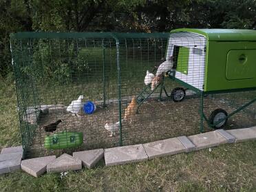 Na slechts 2 dagen, brengen de dames zichzelf naar bed