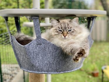 Hanging basket plezier 