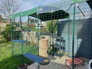 Onze nieuwe planken kunnen in de catio geïnstalleerd worden