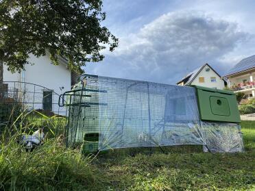 Hoezen beschermen uw kippen tegen de wind