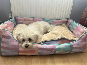 Evie ging meteen op haar nieuwe bed met deken liggen. 