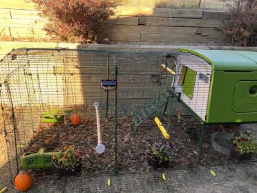 De meisjes vallen voor de herfst in hun nieuwe Eglu Cube . 