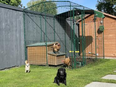 Nieuwste toevoegingen aan de dierenfamilie! 