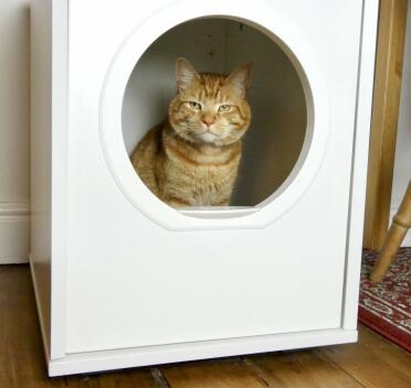 Eric houdt van zijn nieuwe kattenhuis!