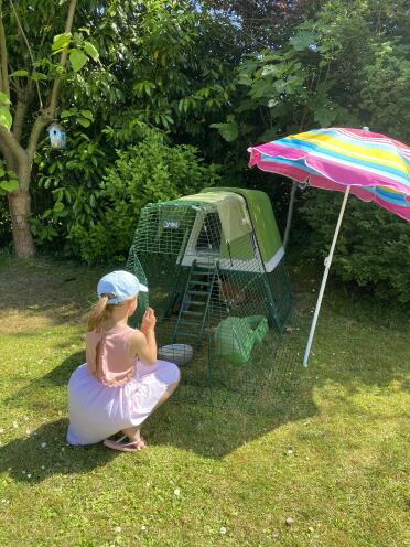 Kippen in de zomer 