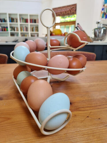 Een perfecte regenboog van eieren. 