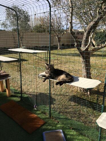 Kat liggend op Omlet stof kat plank in Omlet catio