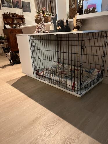 Een comfortabele ruimte voor uw hond