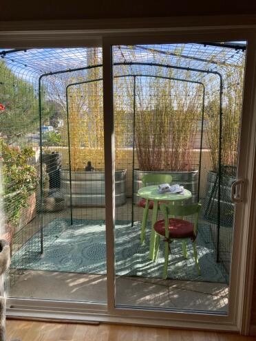 Catio in san francisco bay area