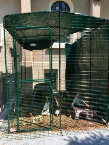 De behuizing maakt het mogelijk een speelplaats voor uw cavia's te creëren