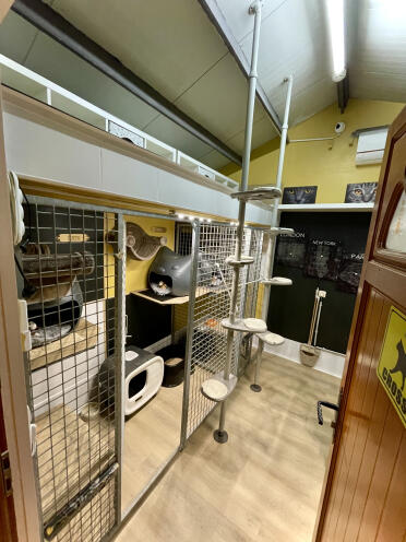 Cat's hotel lodge verwelkomt Omlet