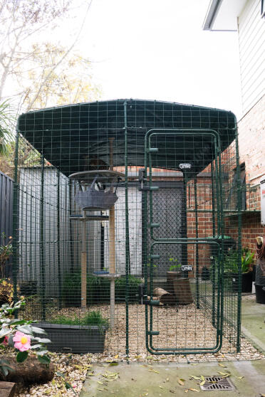 Onze catio compleet met Freestyle accessoires