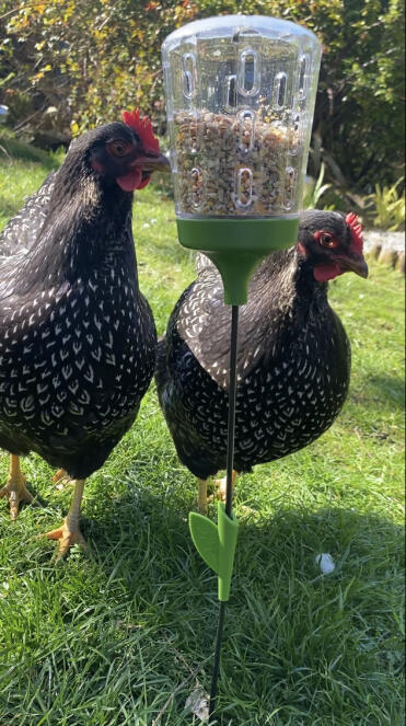 Babette en laska genieten van het gebruik van hun eerste pik speelGoed :)