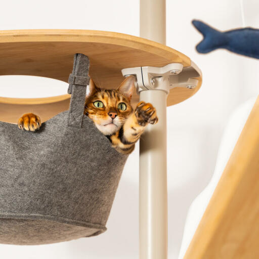 luister Persona Nadenkend Freestyle klimboom voor katten - Hangmatplatform met beugel en hangmat -  Bamboe | Omlet