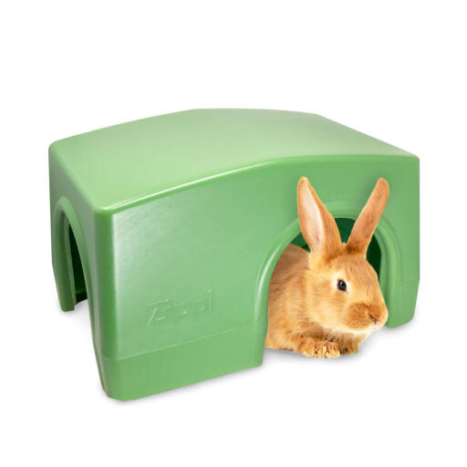 vitamine Franje Onderstrepen Zippi schuilhuisje voor konijnen - Groen | Omlet