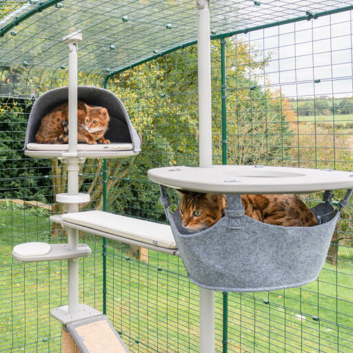 wedstrijd maatschappij College Freestyle kattenpaal - Kunststof hangmatplatform met hangmat (beugel  inbegrepen) | Omlet