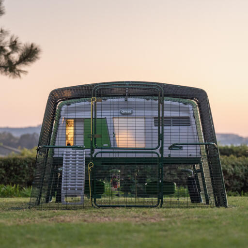 Eglu pro kippenhok met ren bij zonsondergang met een hoklamp aan