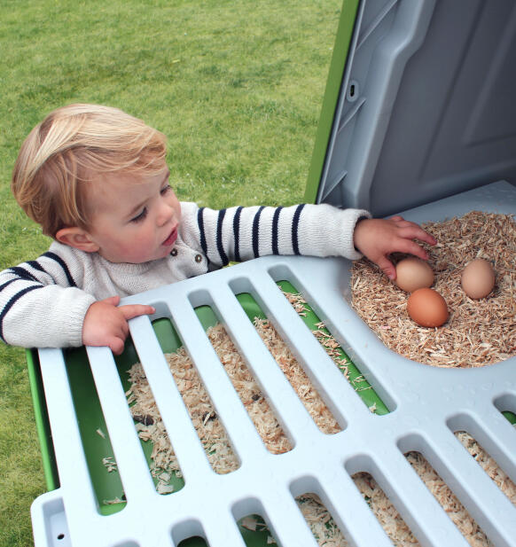 Kind verzamelt eieren uit de nestbak van het Eglu Go kippenhok