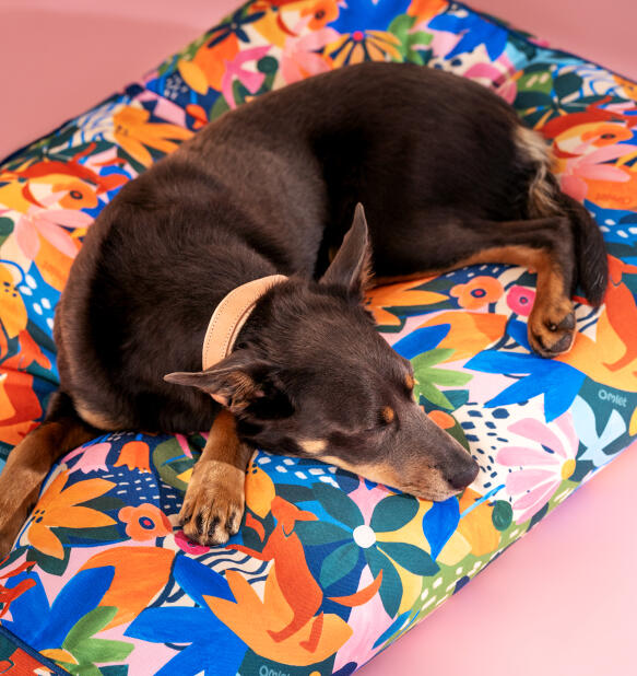 Hond rustend op een makkelijk schoon te maken hondenkussen in avonturenland print