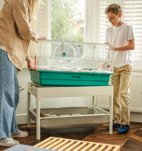 Moeder en zoon die een grote hamsterkooi in het stalen frame laten zakken