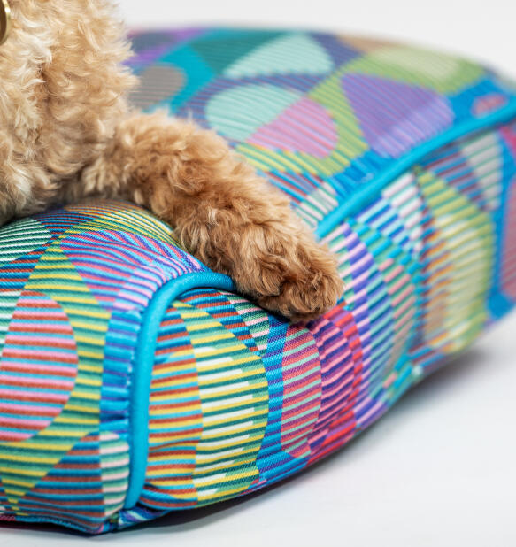 Close-up van een poot op een felgekleurd kussen-hondenbed