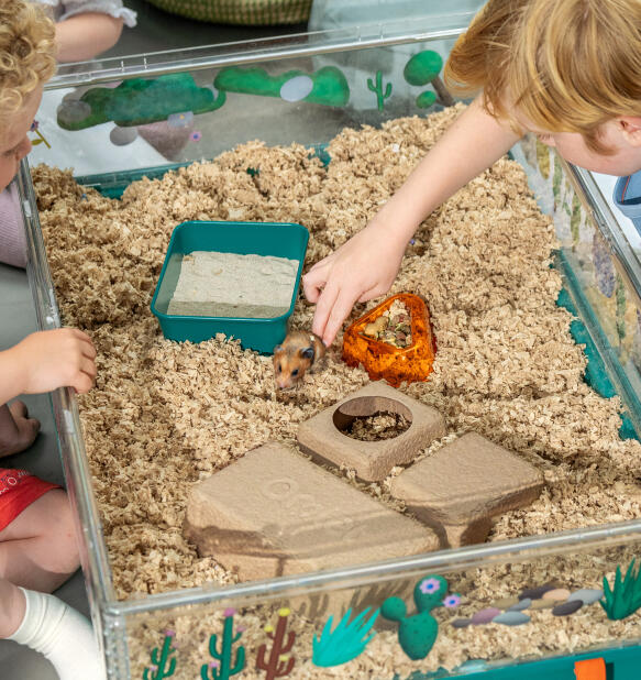 Kinderen spelen met hun hamster in de Omlet grote hamsterkooi