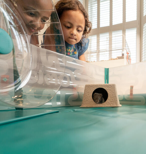 Twee kinderen kijken naar hun hamster in een pop-up box met accessoires