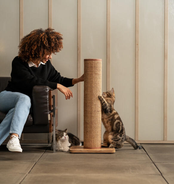 Vrouwen in interactie met haar katten die spelen met de koffiekleurige Switch kattenkrabpaal.