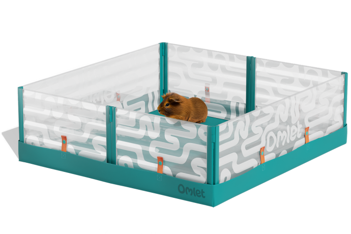 Cavia pop-up boxen