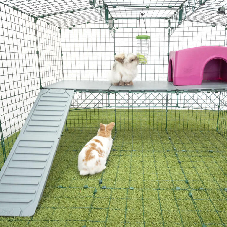 Onzorgvuldigheid Belang Nest Zippi vides voor konijnen - 3 panelen met groen schuilhuisje en speeltunnel  | Konijnenren accessoires